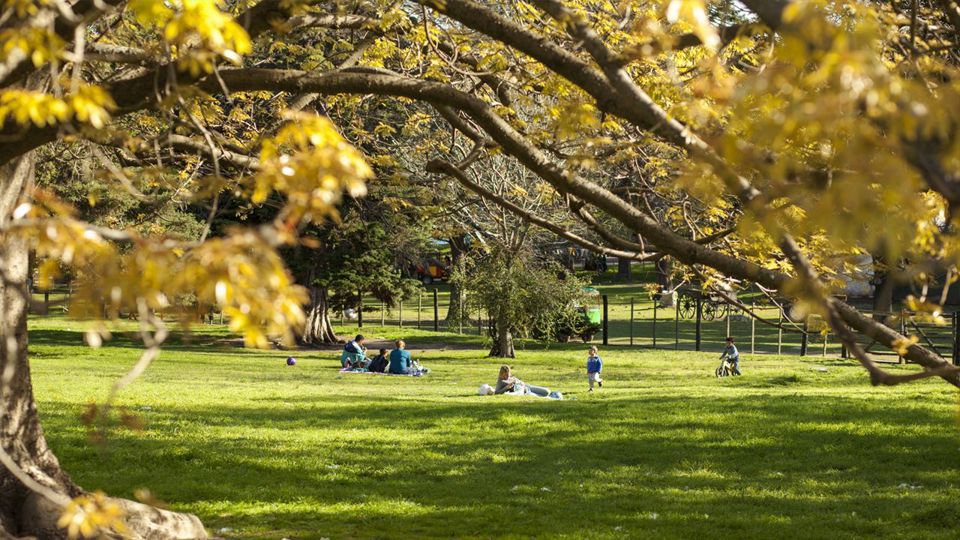 City Tour Montevideo foto 6