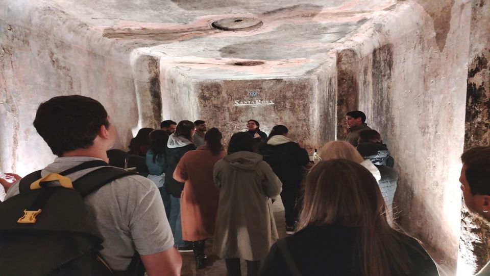 Prova De Vinhos Na Adega Santa Rosa foto 9