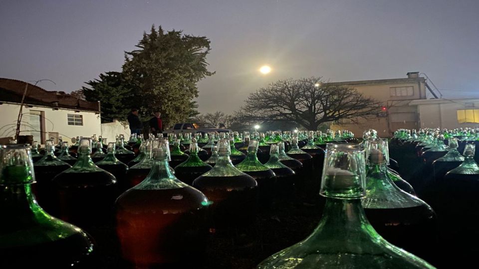 Prova De Vinhos Na Adega Santa Rosa foto 7