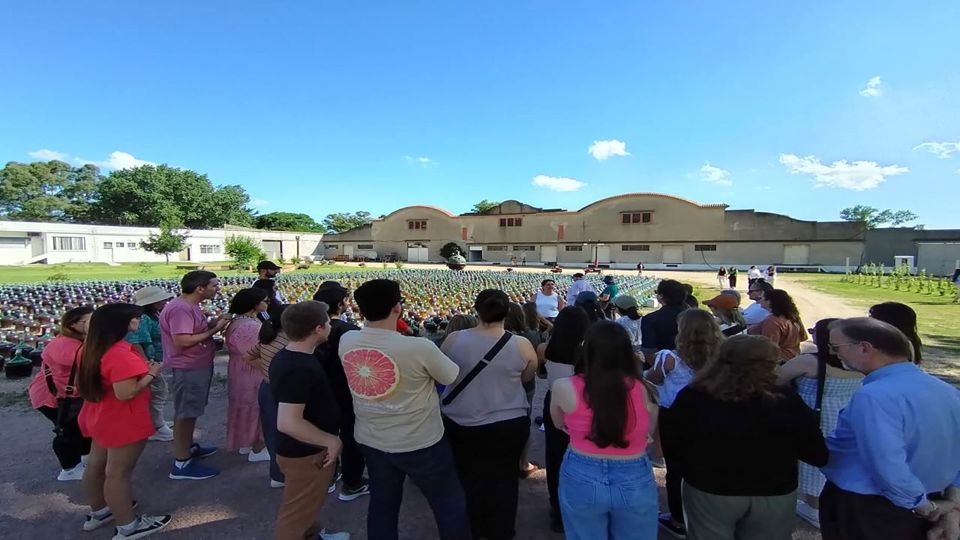 Prova De Vinhos Na Adega Santa Rosa foto 5