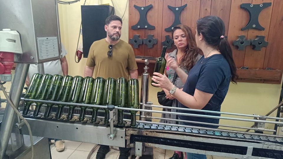 Prova De Vinhos Na Adega Santa Rosa foto 2