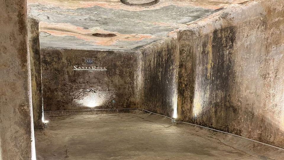 Prova De Vinhos Na Adega Santa Rosa foto 3