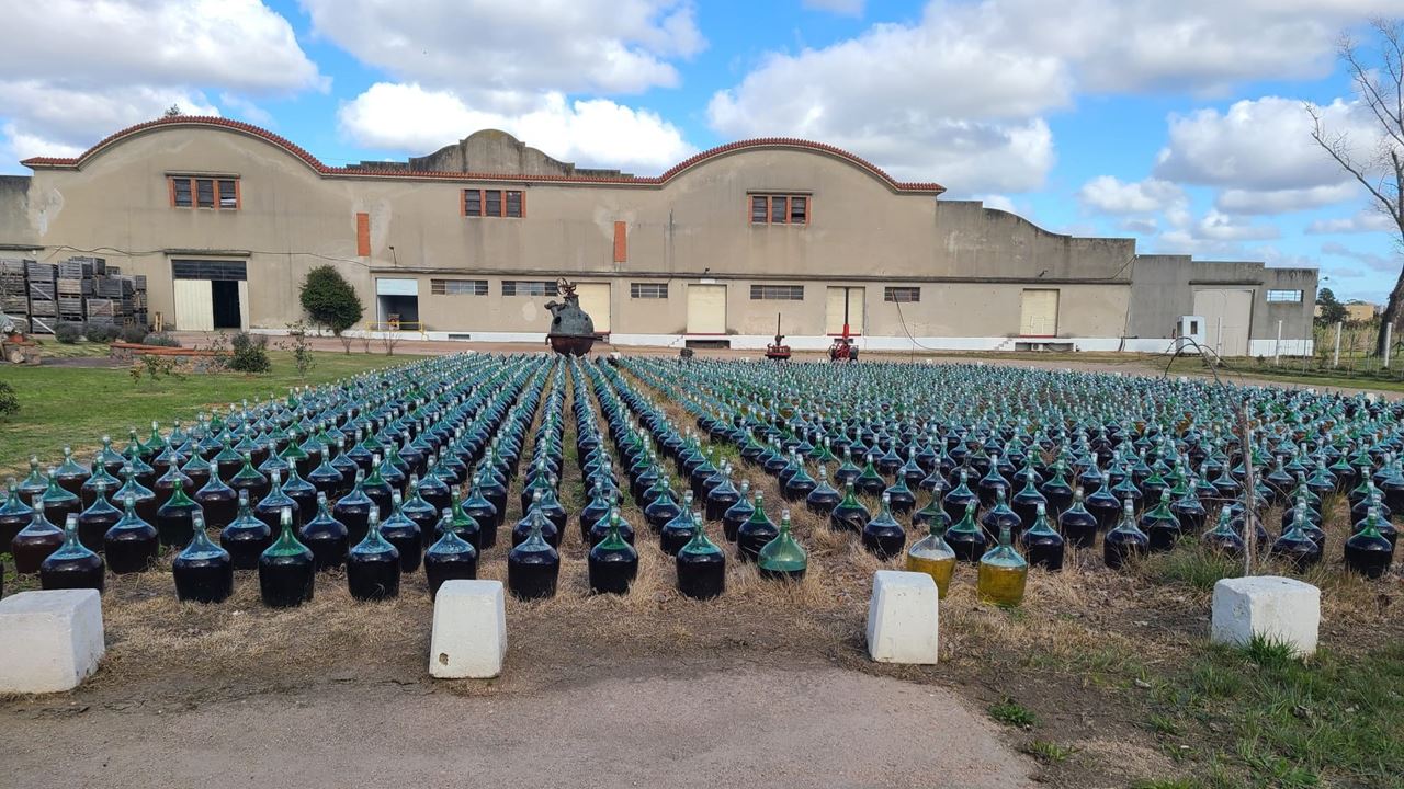 Wine Tasting At Santa Rosa Winery (7)