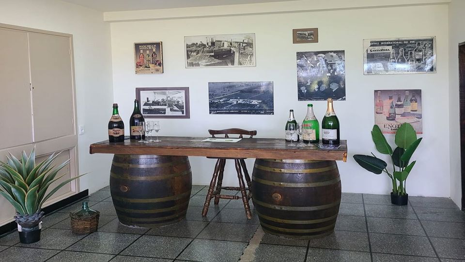 Prova De Vinhos Na Adega Santa Rosa foto 6