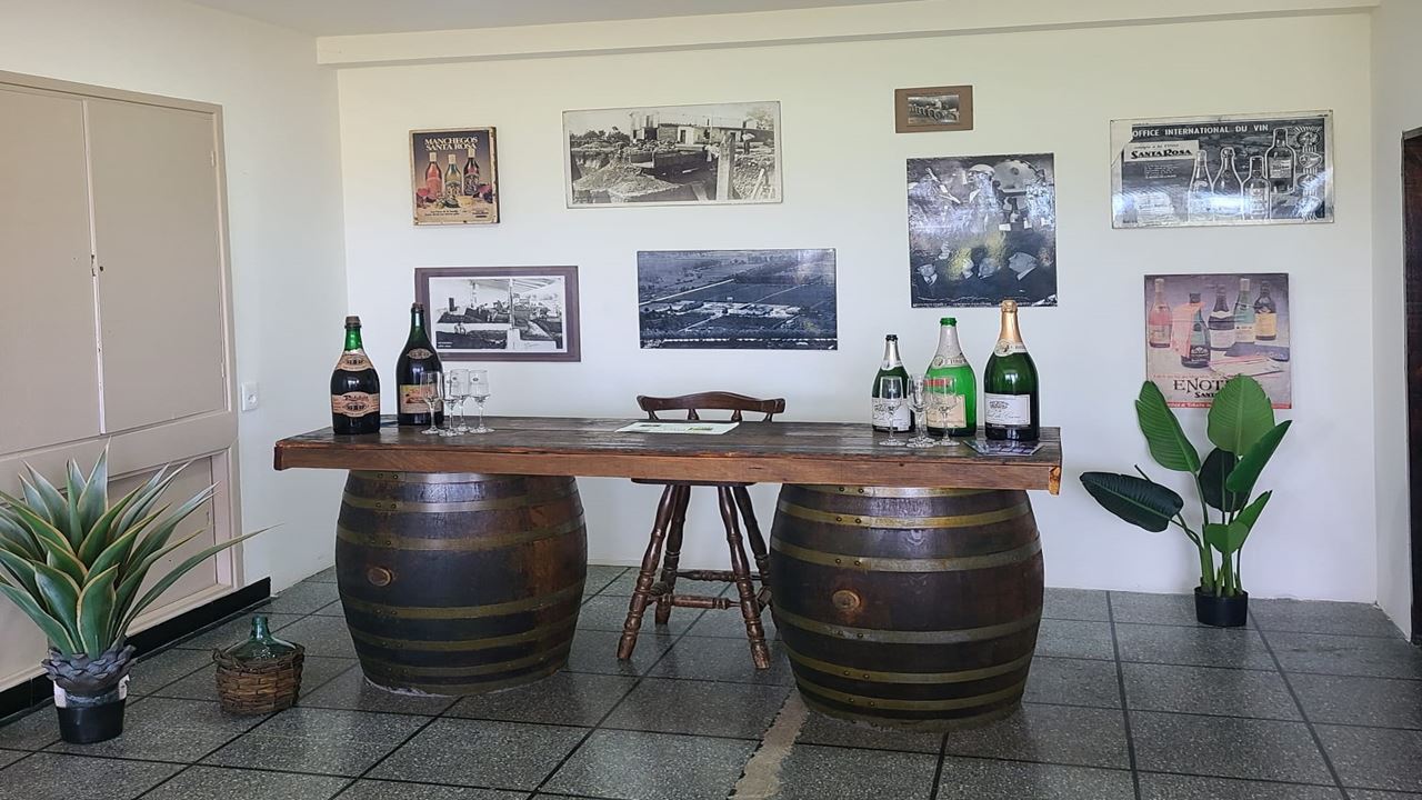 Wine Tasting At Santa Rosa Winery (5)