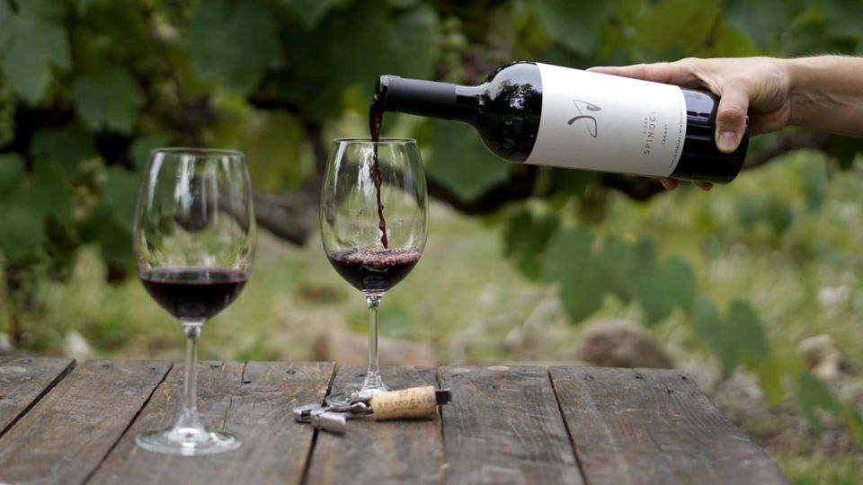 Wine Tasting At Spinoglio Winery foto 3