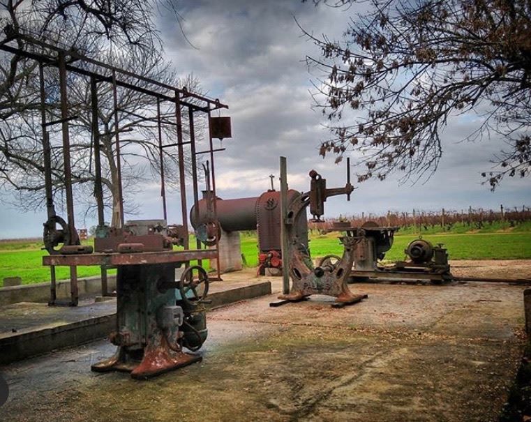 Premium Wine Tasting At Spinoglio Winery foto 2