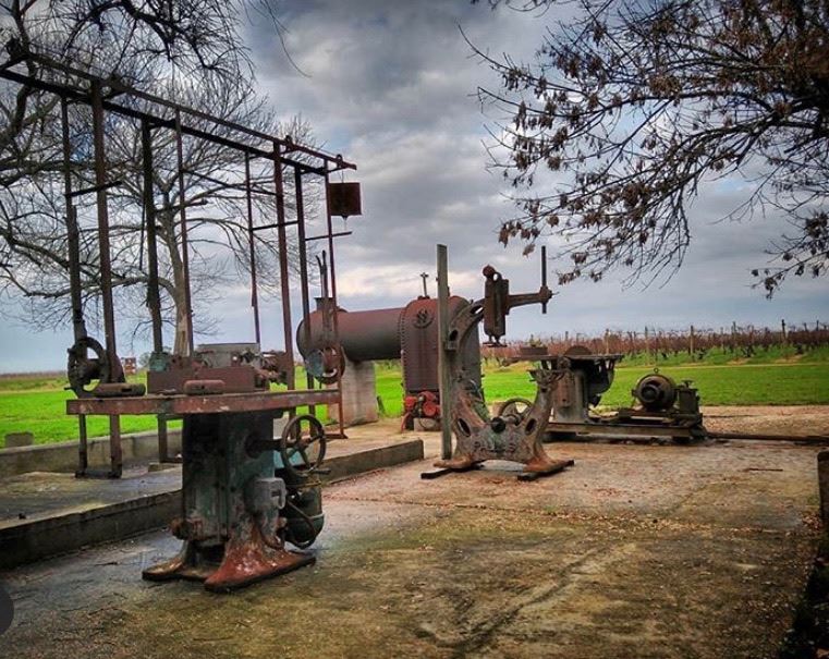 Premium Wine Tasting At Spinoglio Winery (1)