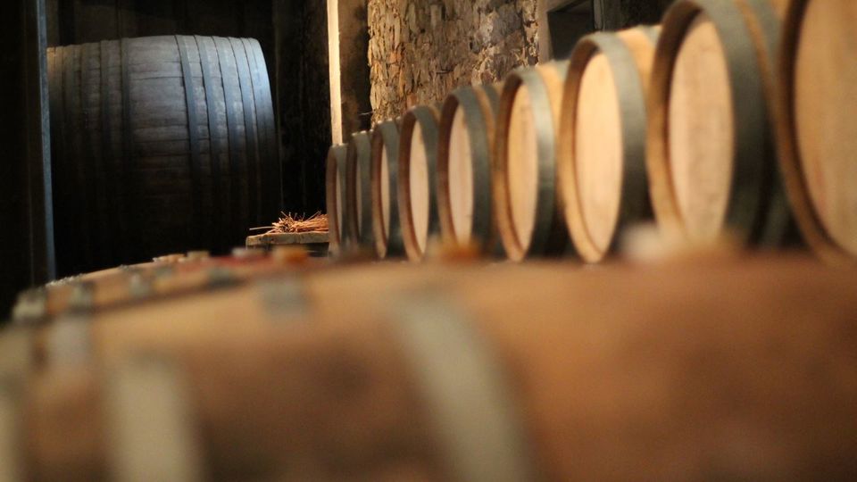 Pairing Experience At Spinoglio Winery foto 2