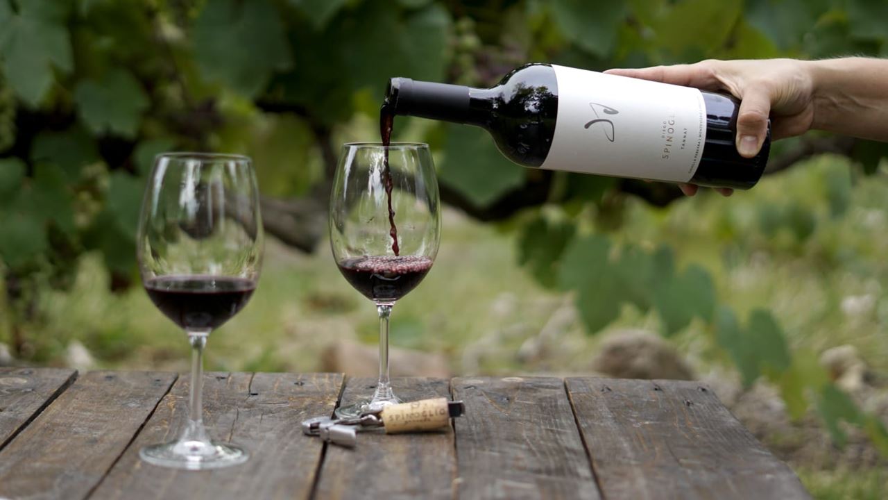 Pairing Experience At Spinoglio Winery (4)