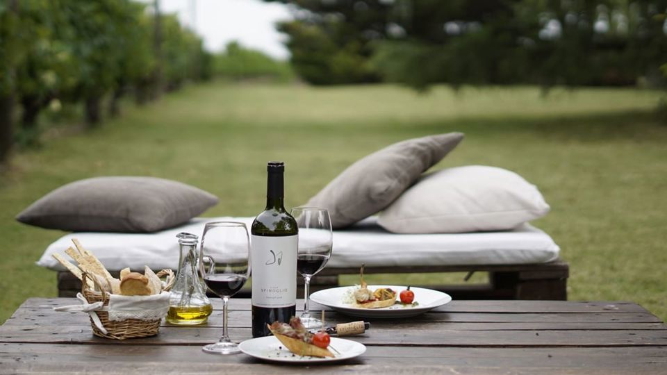 Pairing Experience At Spinoglio Winery foto 3