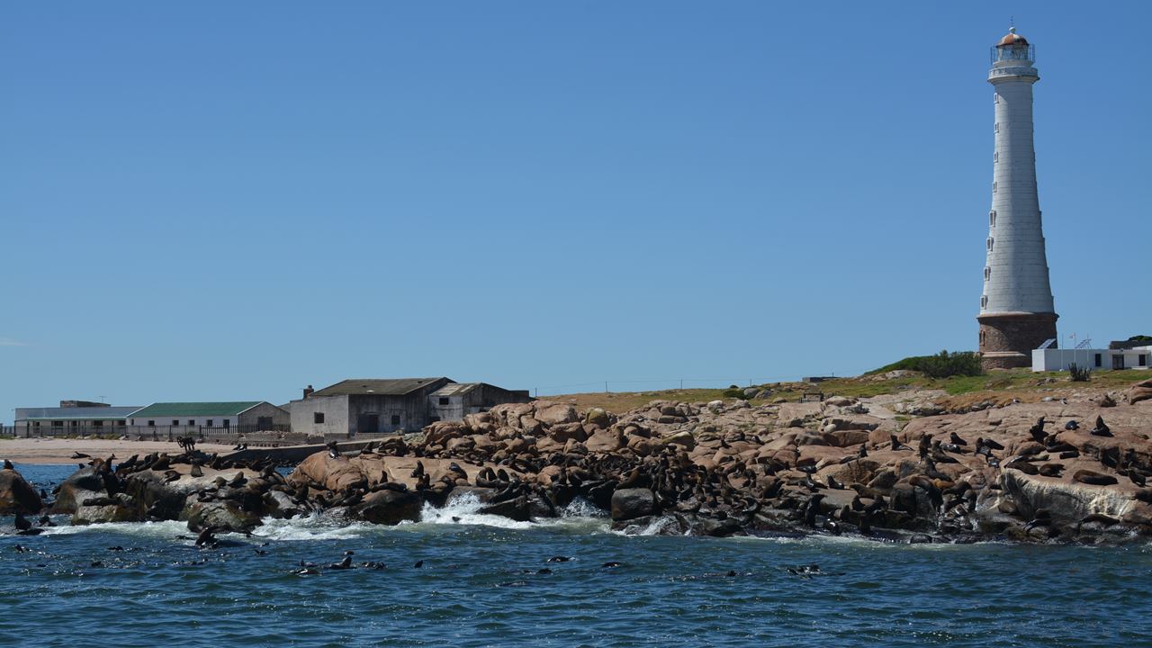 Punta Del Este Full Fay Tour (4)