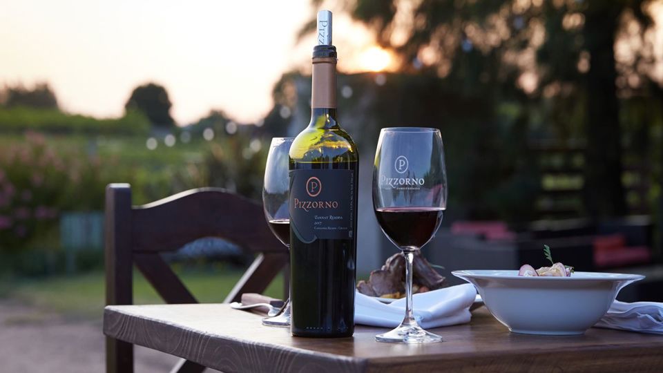 Tour And Tasting Of Uruguayan Wines At Pizzorno Winery foto 1