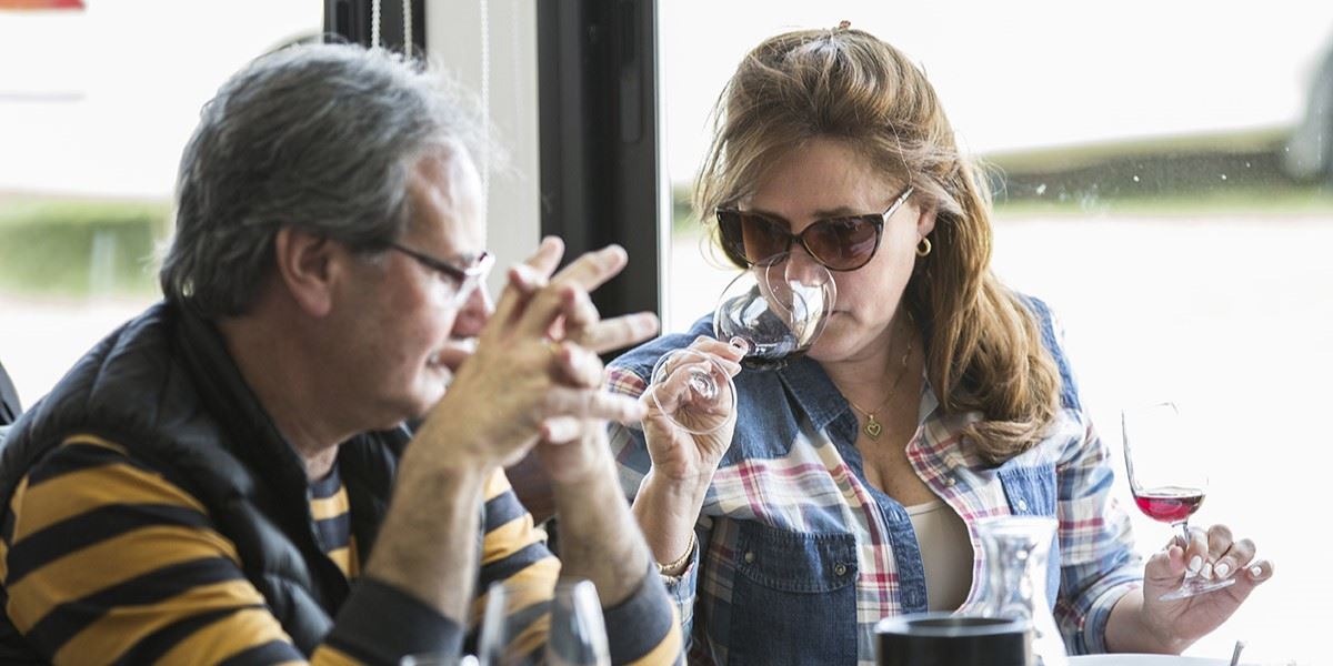 Tour And Tasting Of Uruguayan Wines At Pizzorno Winery (1)
