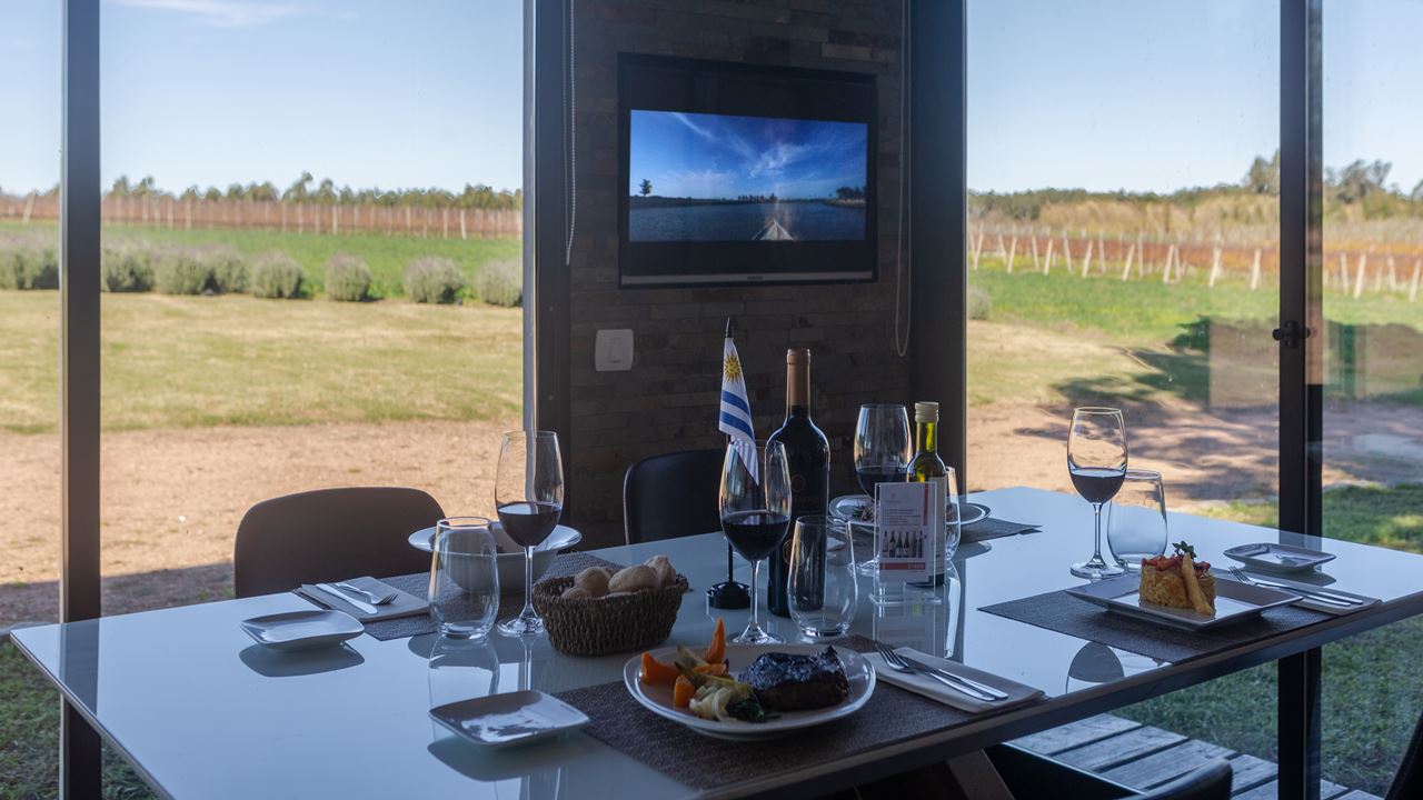 Tour And Tasting Of Uruguayan Wines At Pizzorno Winery (4)