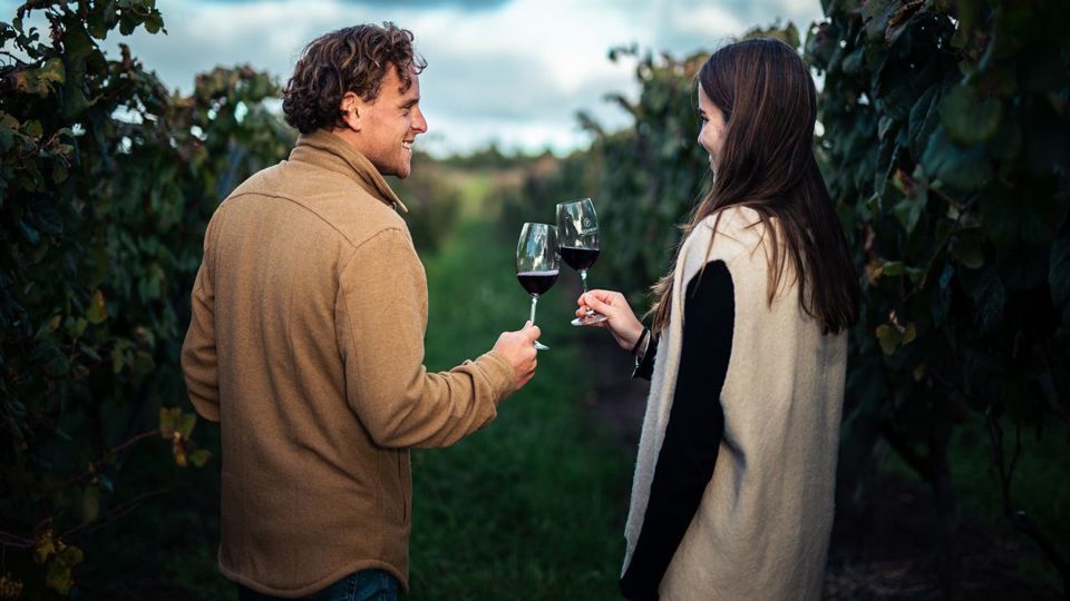 Tour And Tasting Of Uruguayan Wines At Pizzorno Winery foto 4