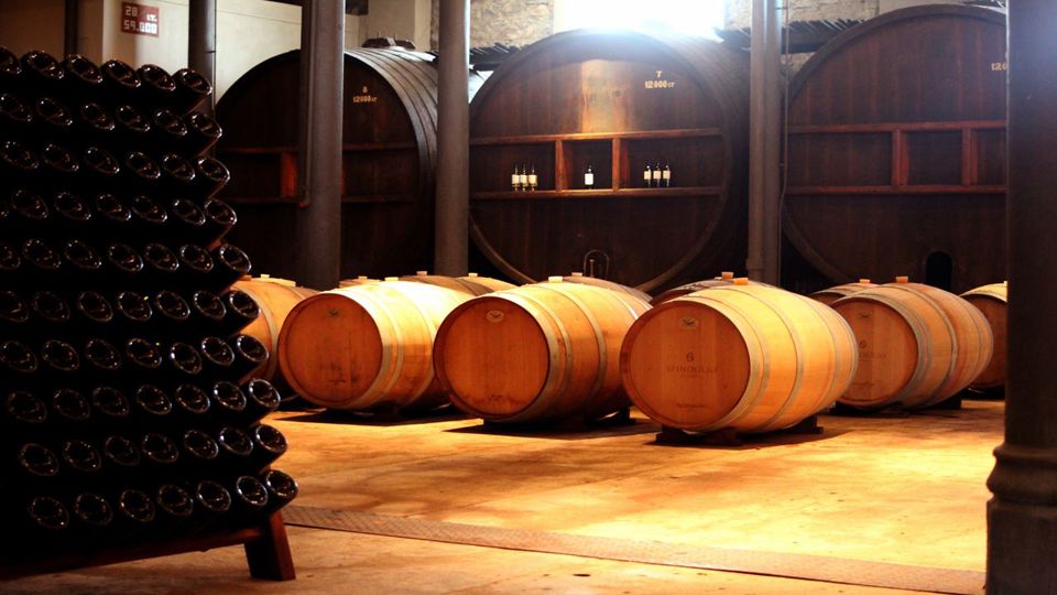 Winery Visit Tasting With Lunch foto 9