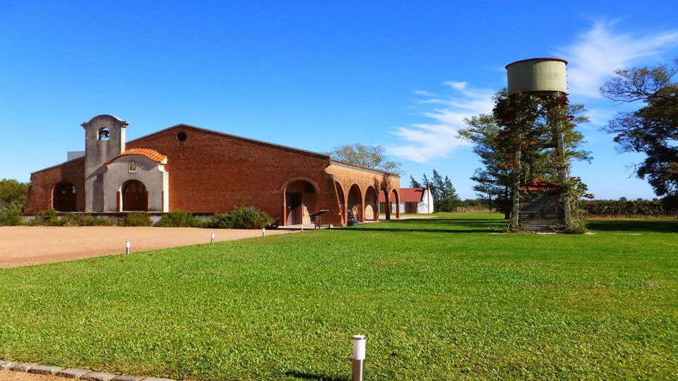 Winery Visit Tasting With Lunch foto 7