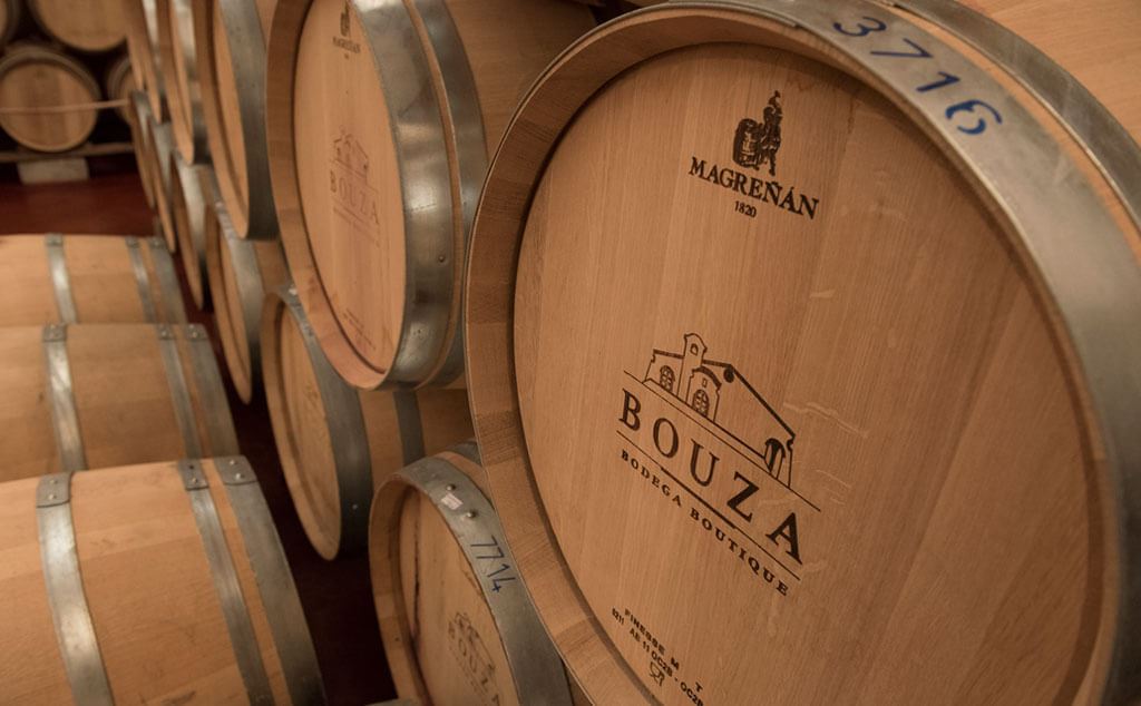 Visit, Tasting And Lunch At Bouza Winery (1)