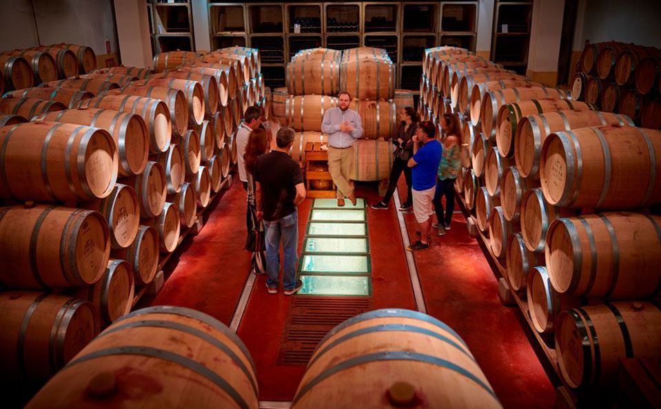 Visita, Degustação E Almoço Na Vinícola Bouza foto 5