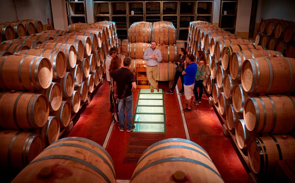 Visit, Tasting And Lunch At Bouza Winery (4)