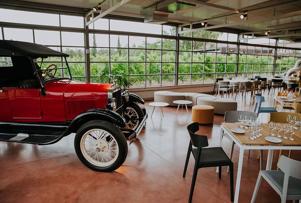 Visit, Tasting And Lunch At Bouza Winery (3)