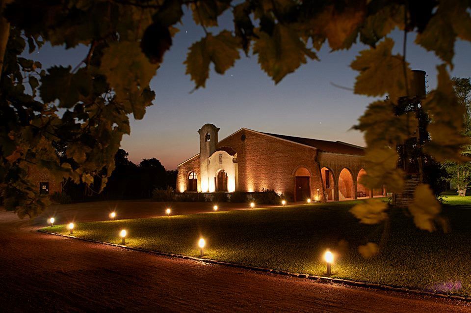 Visit And Tasting At Bouza Winery foto 8