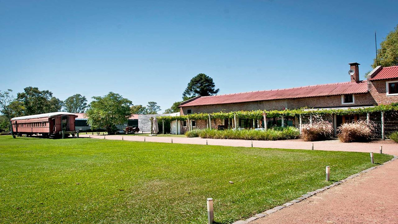Visit And Tasting At Bouza Winery (2)